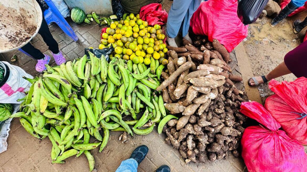 El campo llega al corazón de Bonanza